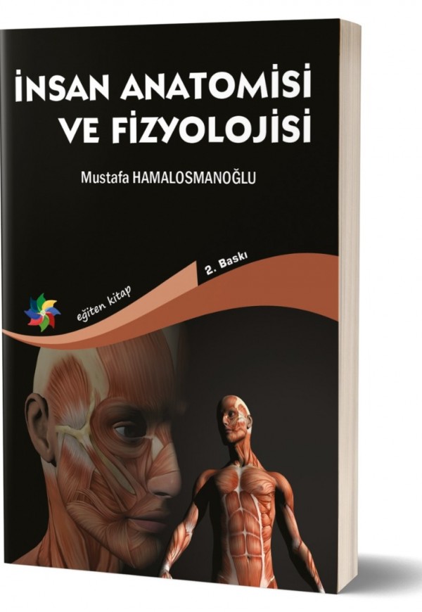 İNSAN ANATOMİSİ VE FİZYOLOJİSİ