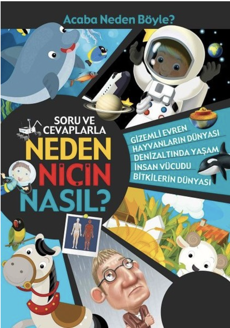 NEDEN NİÇİN NASIL?