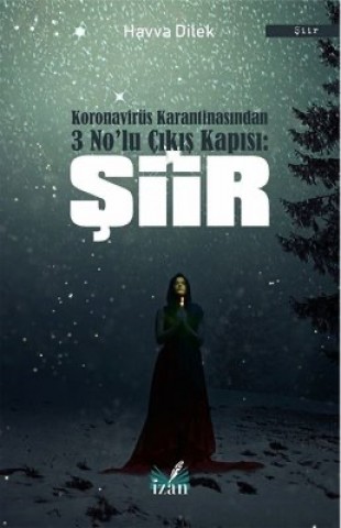KORONAVİRÜS KARANTİNASINDAN 3’NOLU ÇIKIŞ : ŞİİR