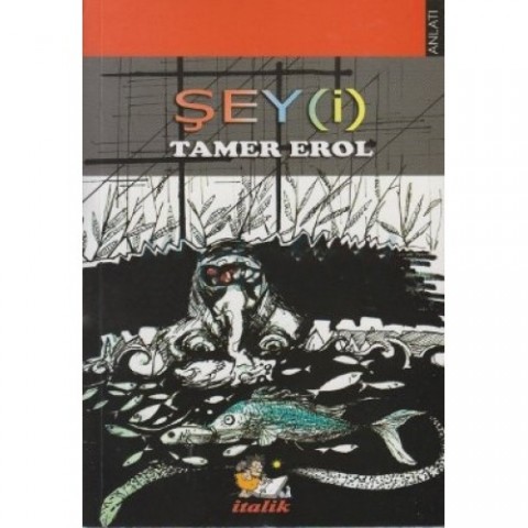 ŞEY(İ)