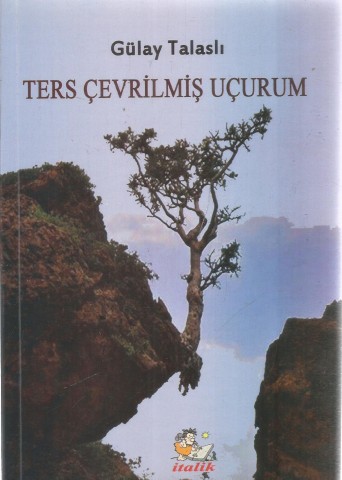 TERS ÇEVİRİLMİŞ UÇURUM