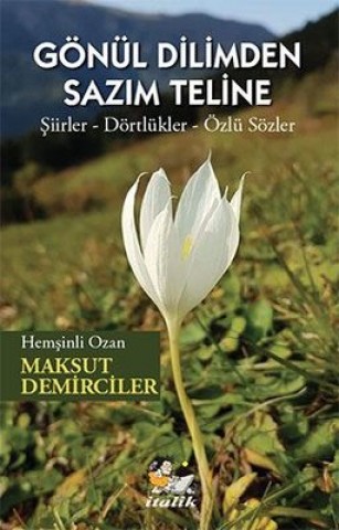 GÖNÜL DİLİMDEN SAZIM TELİNE