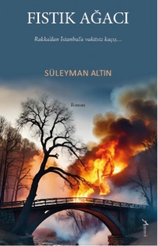 Fıstık Ağacı