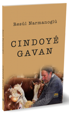 Cindoyê Gavan
