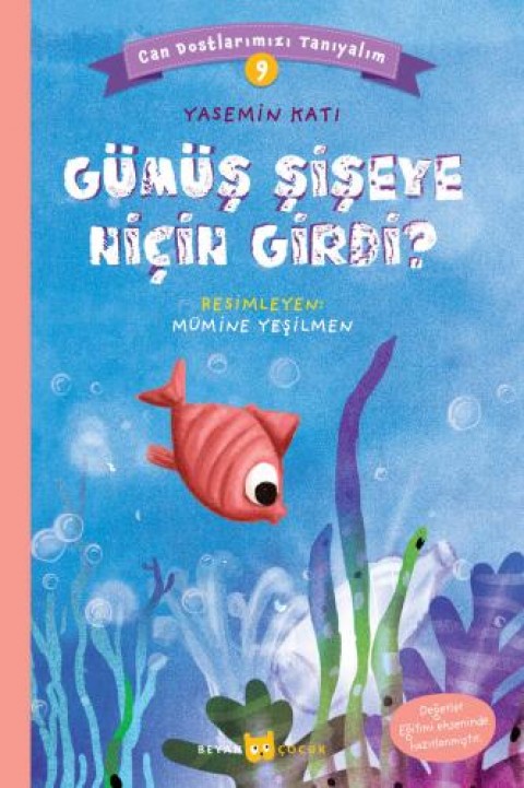 Gümüş Şişeye Niçin Girdi