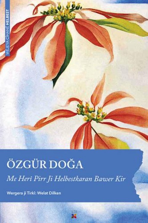 HEJARINO