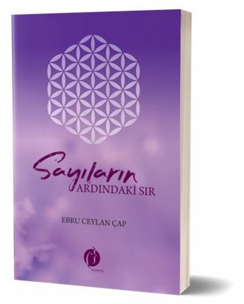 SAYILARIN ARDINDAKİ SIR