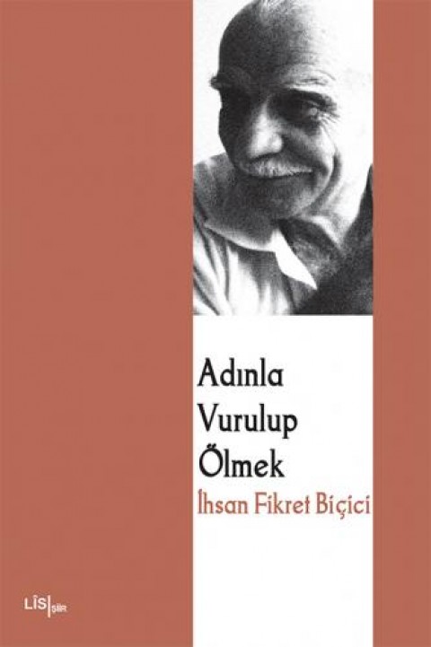YILAN YASTIĞI-BALGÎFA MAR