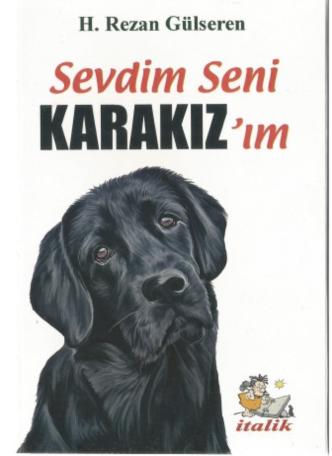 SEVDİM SENİ KARA KIZ