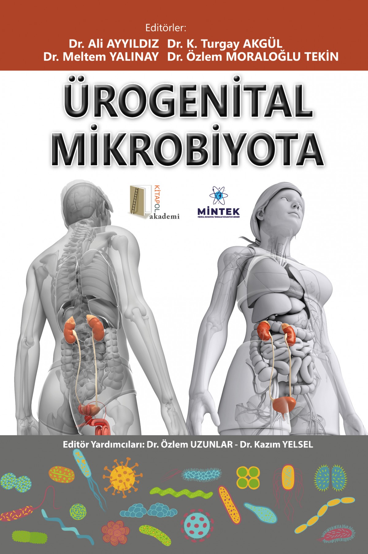 Ürogenital Mikrobiyota